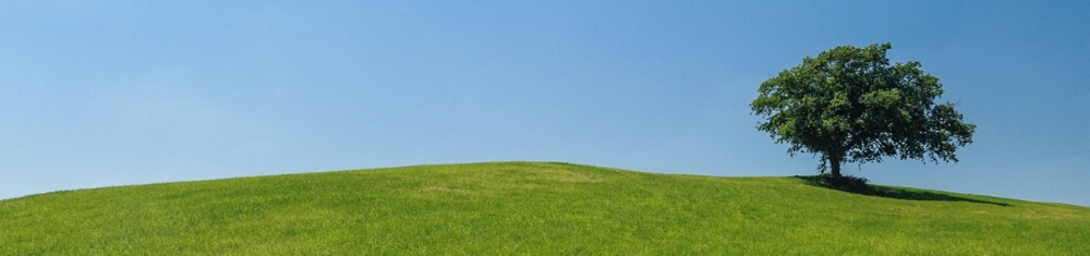 Duplex drucken zum Schutz der Umwelt