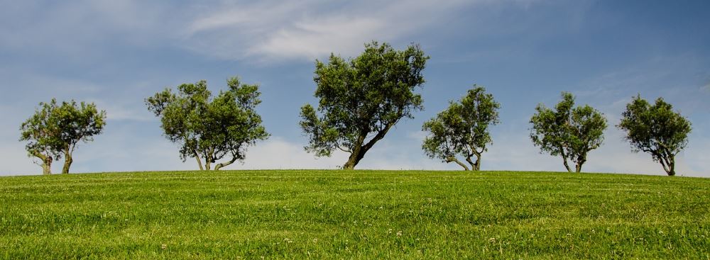 Der Blaue Engel - Vorteile für die Umwelt und die Gesundheit