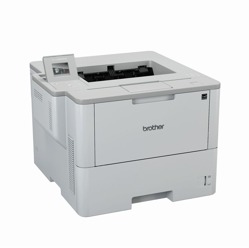 Brother HL-L6400DW Bundle Filter+Halterung