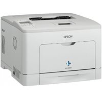 Epson WorkForce AL-M300DN